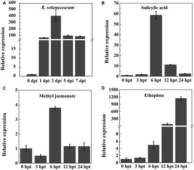 Overexpression of NtPR-Q Up-Regulates Multiple Defense-Related Genes in Nicotiana tabacum and Enhances Plant Resistance to Ralstonia solanacearum